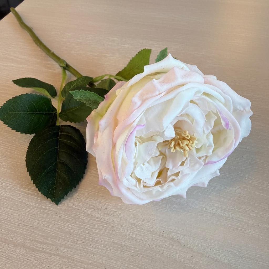 White flower on a wooden table