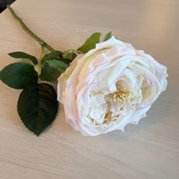 White flower on a wooden table