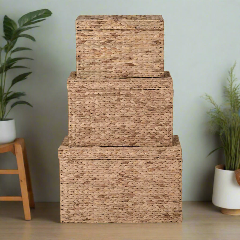 Bring style and function to your home with this set of three seagrass storage trunks. Handwoven from durable natural seagrass, these versatile storage boxes feature a rustic woven texture that adds warmth to any room while keeping clutter neatly tucked away. Each trunk comes with a matching lid, making them perfect for organizing blankets, toys, clothes, or everyday essentials.

Designed in three convenient sizes, these nesting storage trunks can be stacked for display or nested inside one another when not 