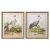 Pair of medium sized stork prints in a wooden faux bamboo frames. A pair of large prints always has a great impact on any wall. These would work in any interior.