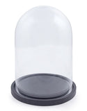 Glass Cloche With Black Base 