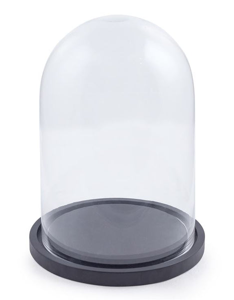 Glass Cloche With Black Base 