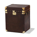 Brown Leather & Brass Travel Trunk