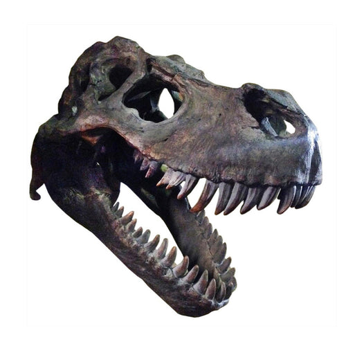 Extra Large T-Rex Skull Wall Head