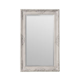 Mirror in classically decorated frame and unusual paint finish