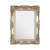 Baroque framed, soft champagne silver finish. Perfect colour.