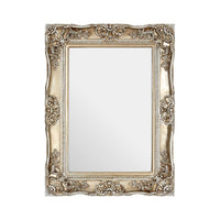 Baroque framed, soft champagne silver finish. Perfect colour.