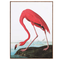 Print - Flamingo - 113cm