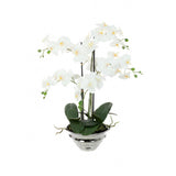 Silver Potted Orchid