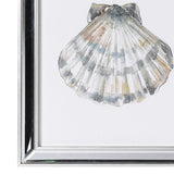 Seashell Wall Prints - Set of 4 - 35 cm